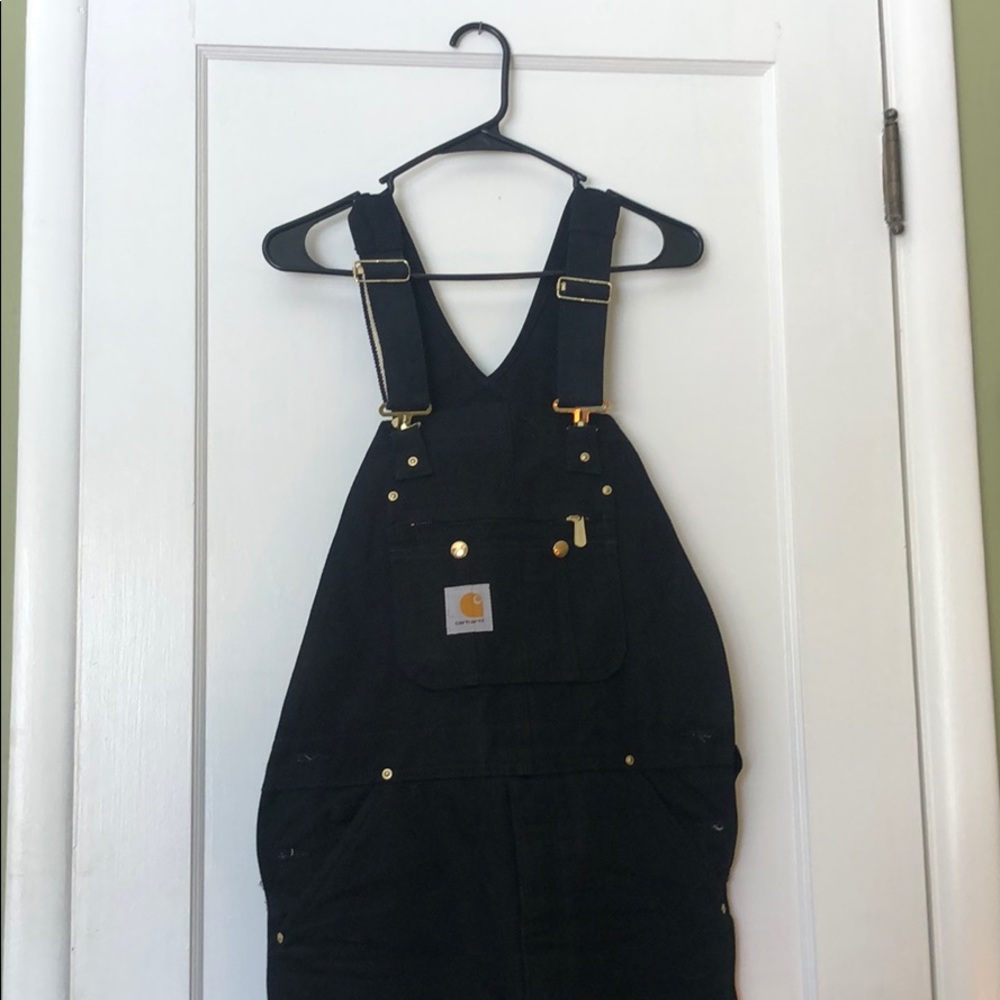 Carhartt winter Bibs